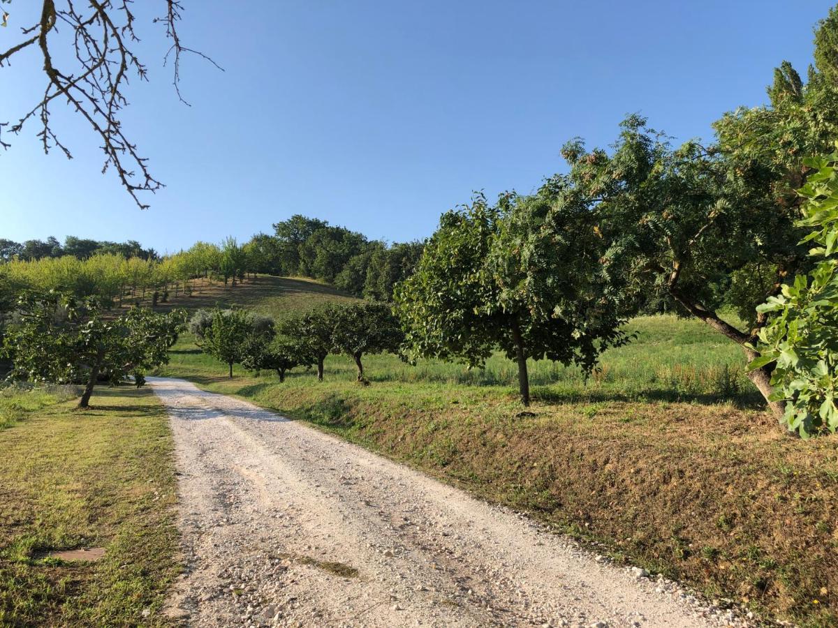 Dai Ventu Panzió Pesaro Kültér fotó